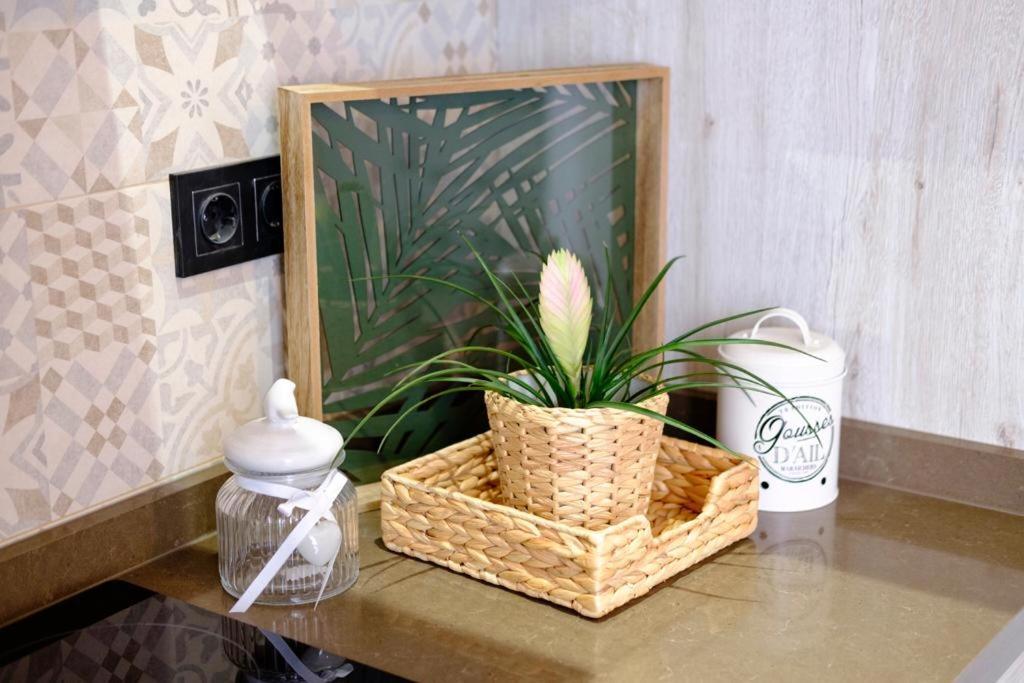 Apartamento Vintage En El Centro De Малага Экстерьер фото
